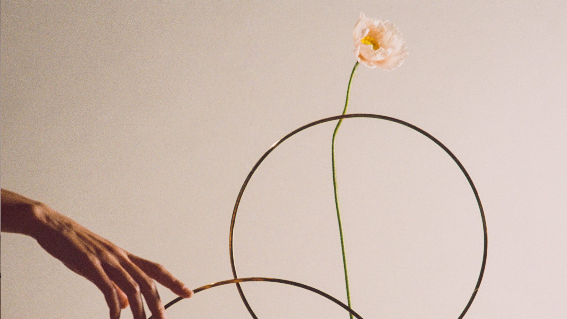 Gloria Ring by Mats Broberg and Johan Ridderstråle |