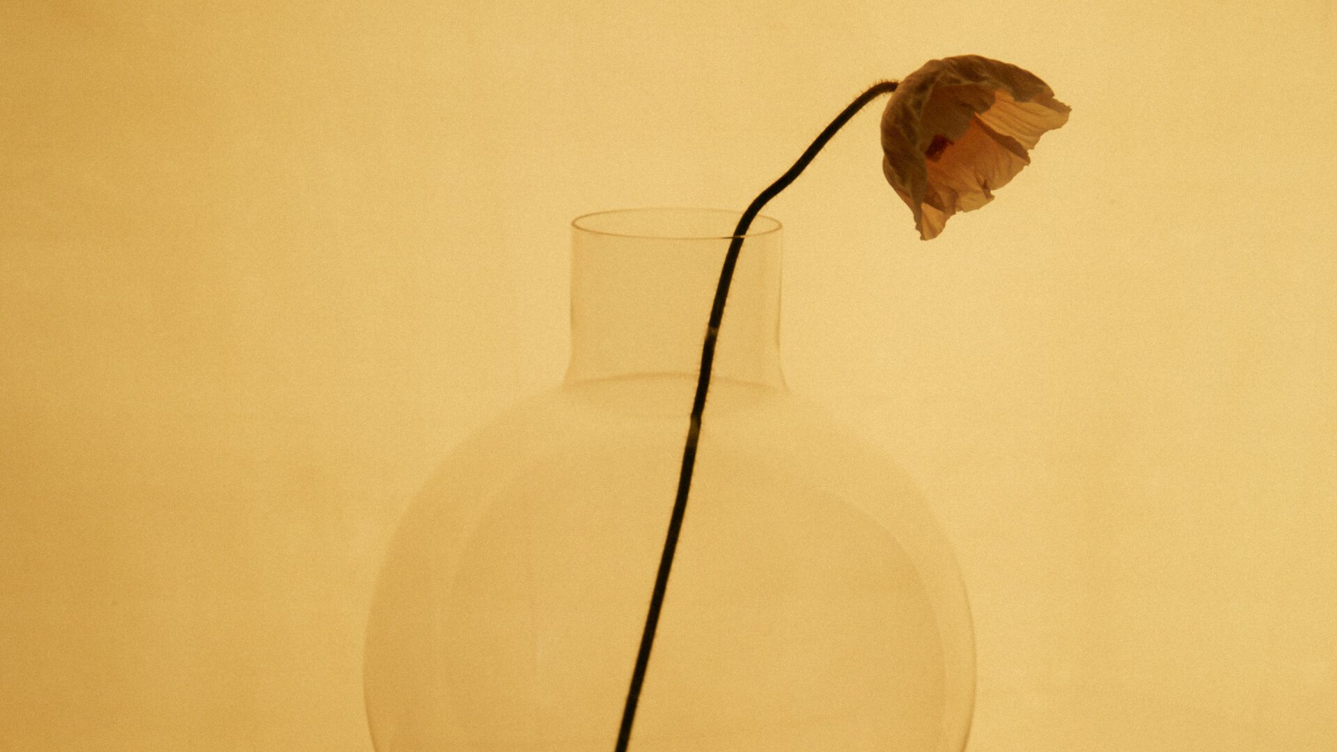 Pallo Vase