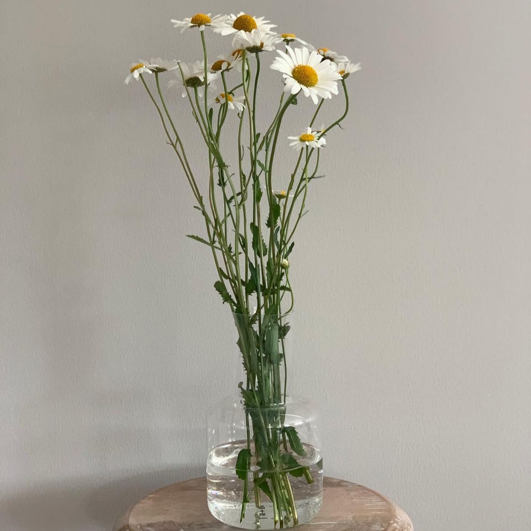 Ponny Carafe