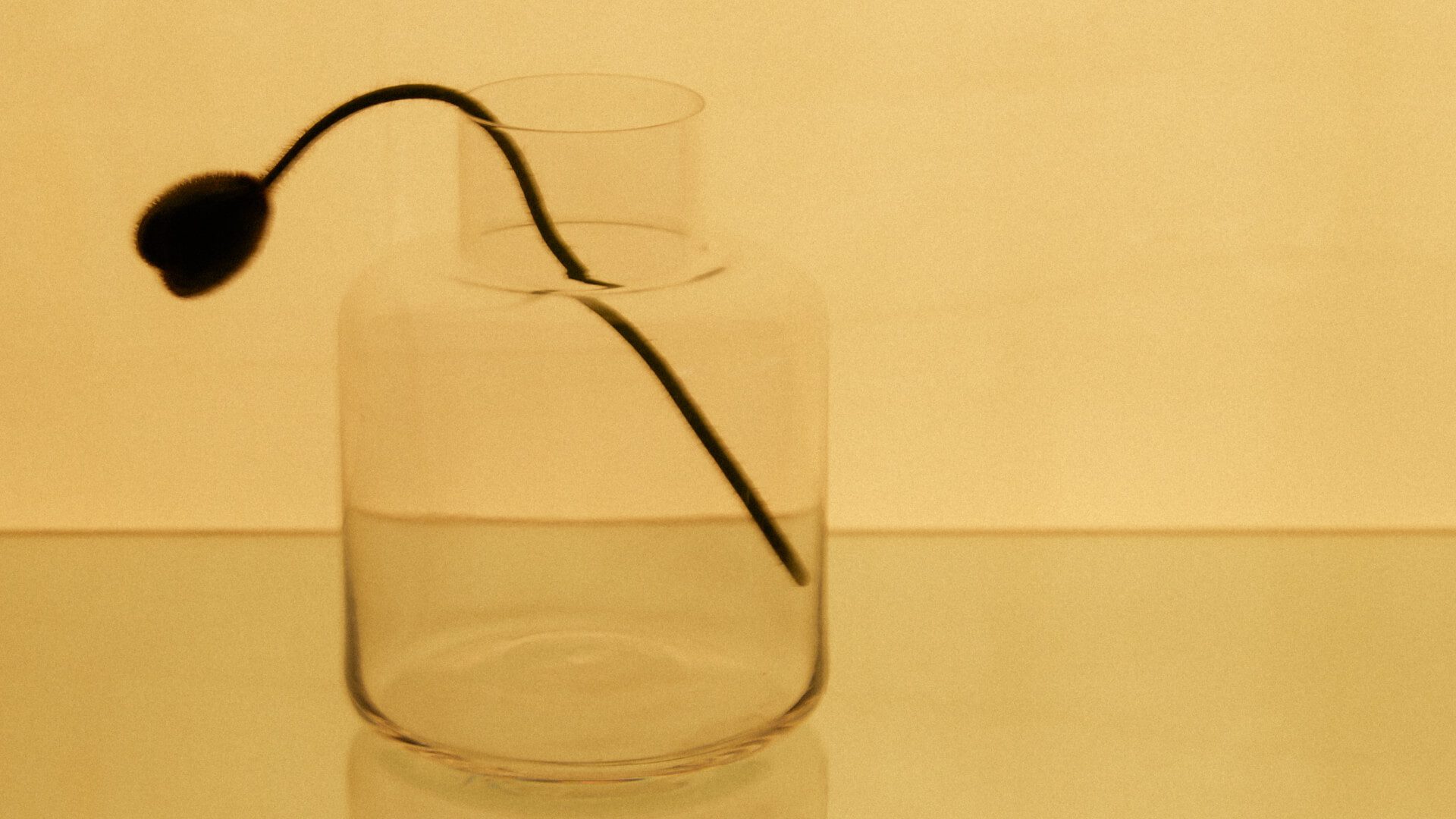 Ponny Vase