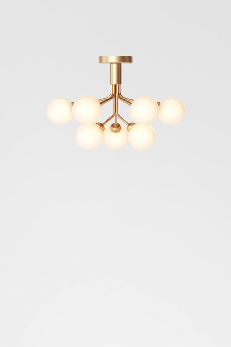 Apiales Ceiling Chandelier