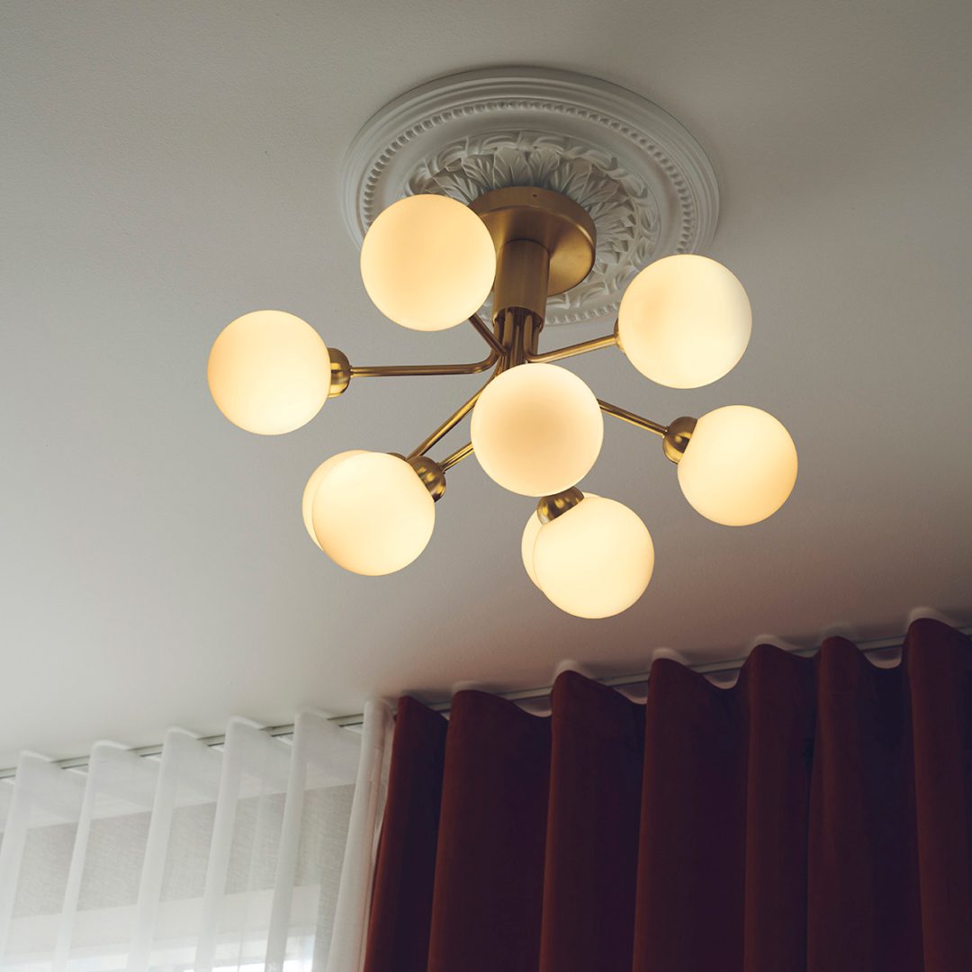 Apiales Ceiling Chandelier