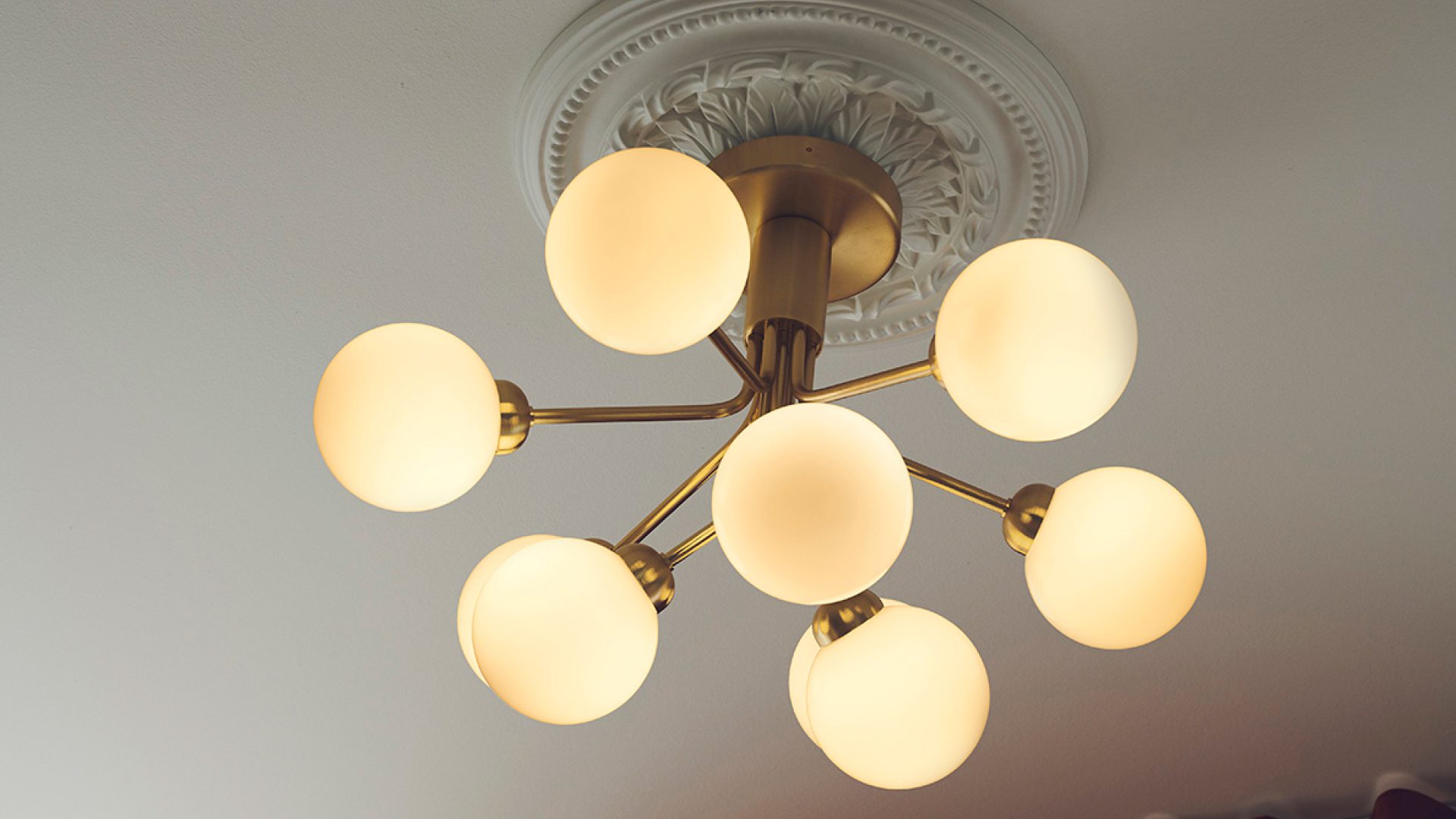Apiales Ceiling Chandelier