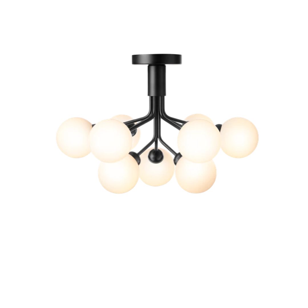 Apiales Ceiling Chandelier