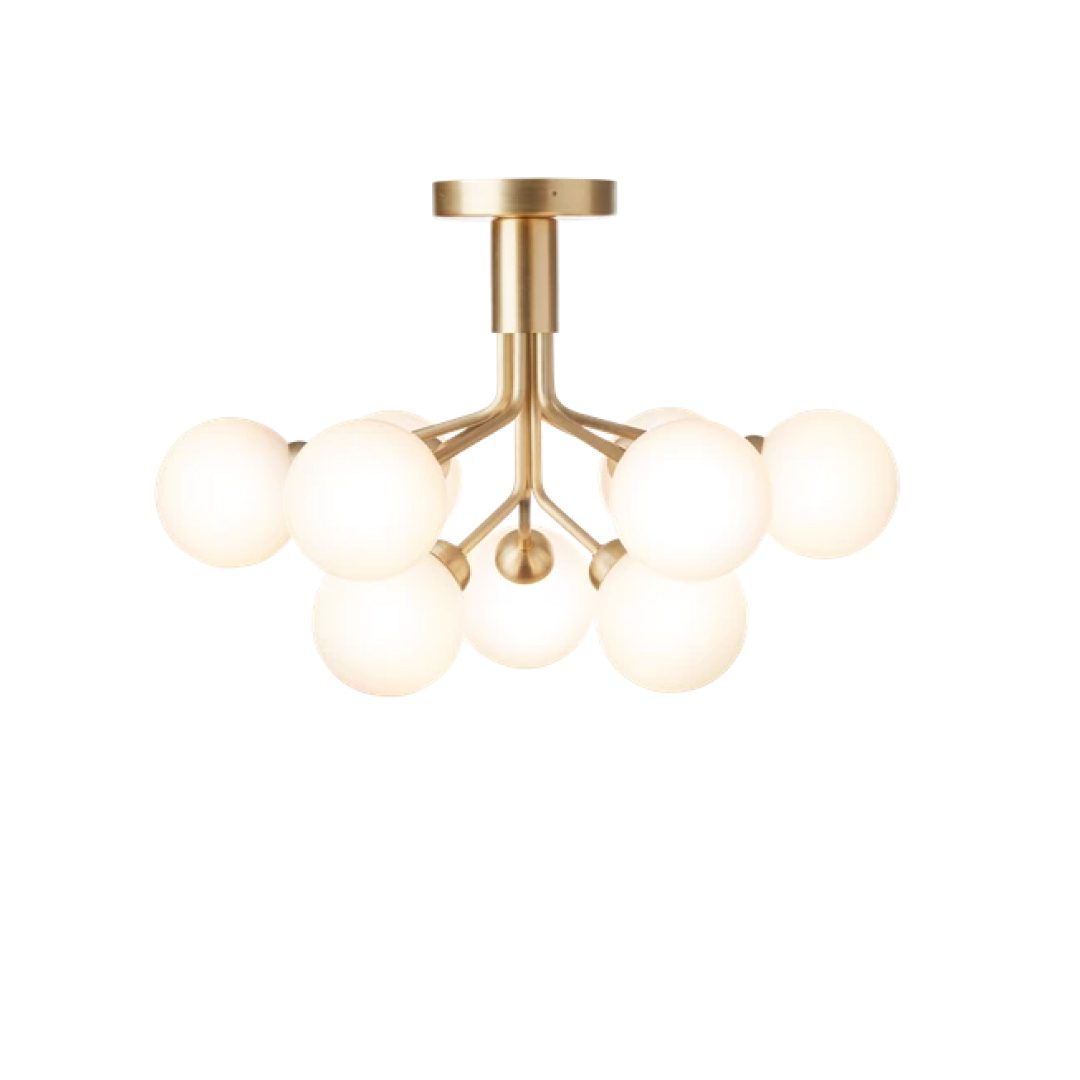 Apiales Ceiling Chandelier